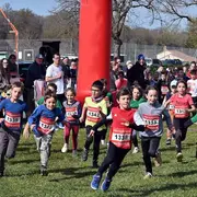 Course nature LA SAULGÉENNE