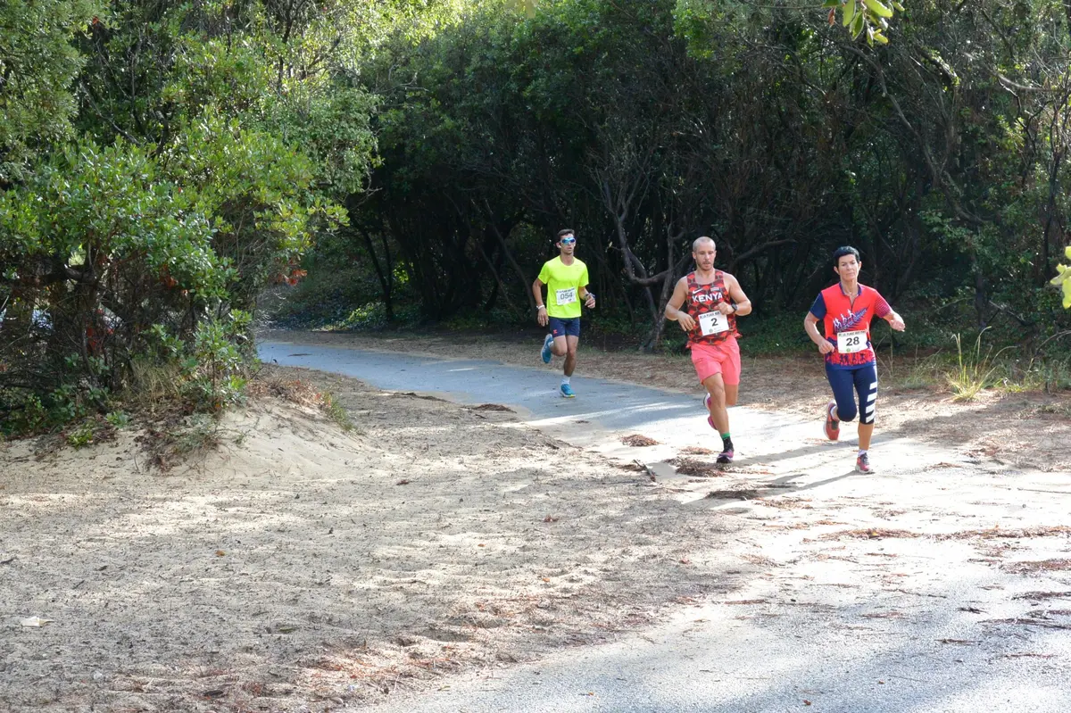 Course pédestre de la plage aux pins