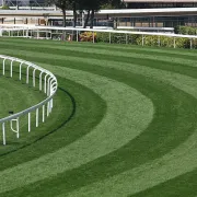 Courses à l'hippodrome à Niort