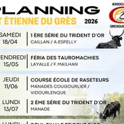 Courses Camarguaise dans les arènes de St Etienne du Grès 2026