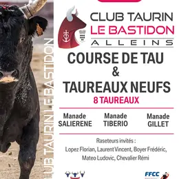 Courses camarguaises - Course de Tau & Taureaux Jeunes