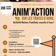 Courses d'orientation