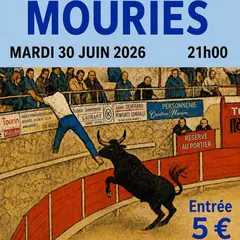 Courses de taureaux emboulés