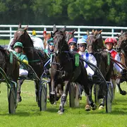 Courses hippiques