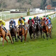 Courses hippiques