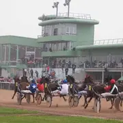Courses hippiques