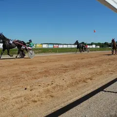 Courses hippiques
