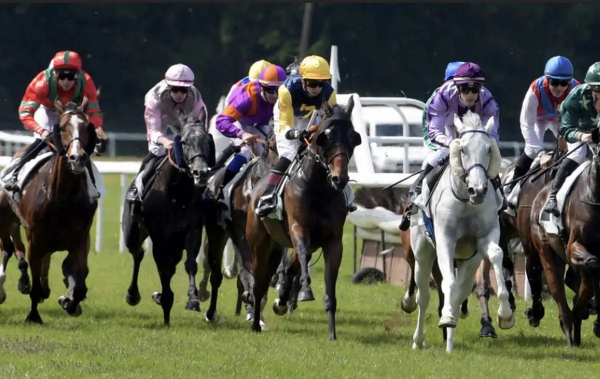 Courses hippiques à l'hippodrome de la Hardt à Wissembourg