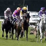 Courses hippiques à l'hippodrome de la Hardt à Wissembourg
