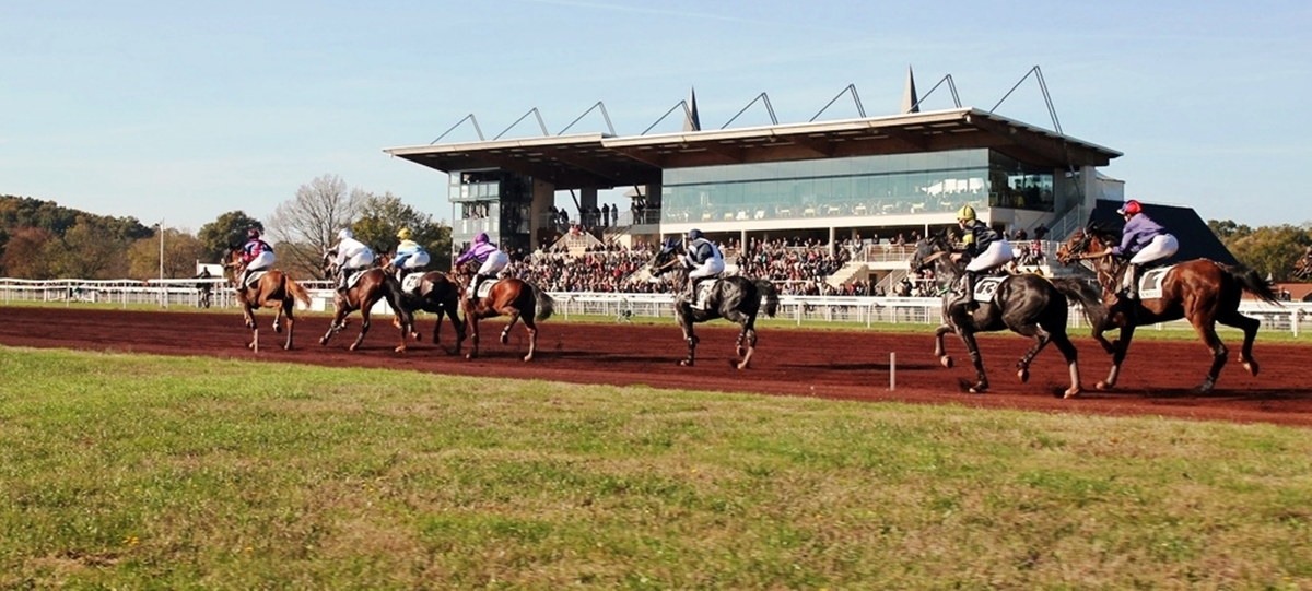 Courses hippiques - Avril 2026