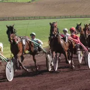 Courses hippiques - Castillonnès