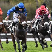 Courses hippiques de Novembre