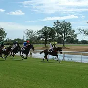 Courses hippiques du 9 août