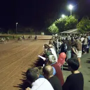 Courses hippiques en nocturne - Villeréal