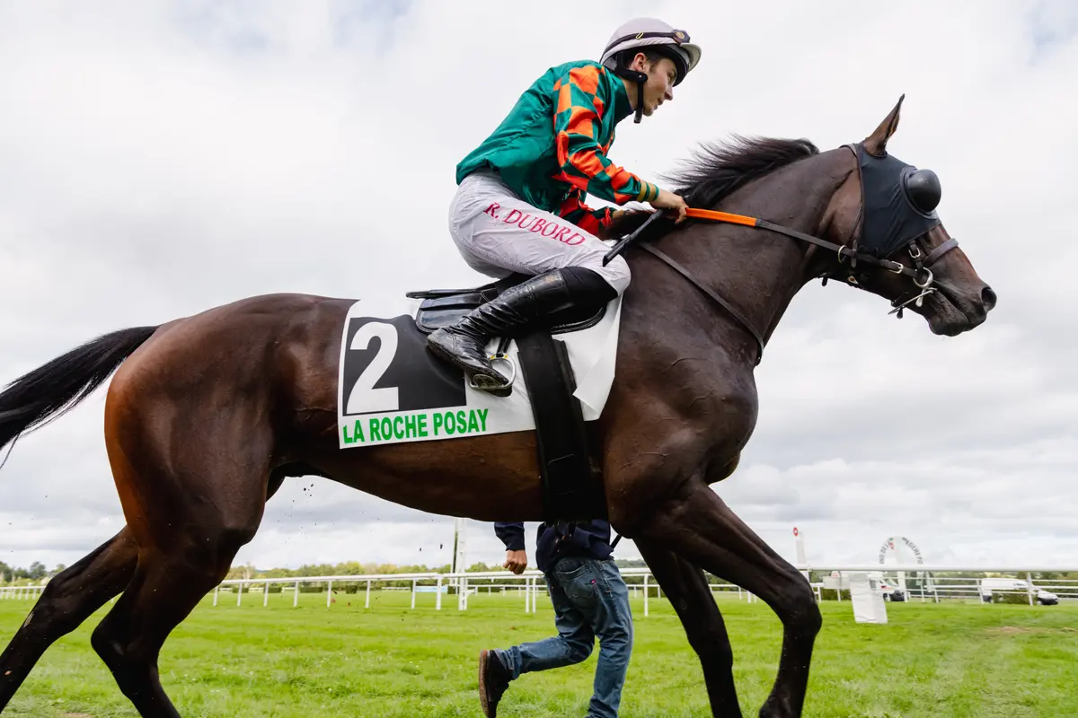 Courses hippiques Plat