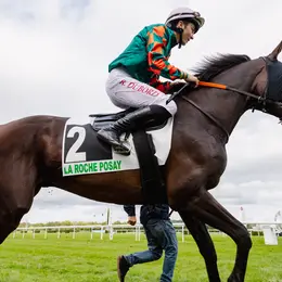 Courses hippiques Plat