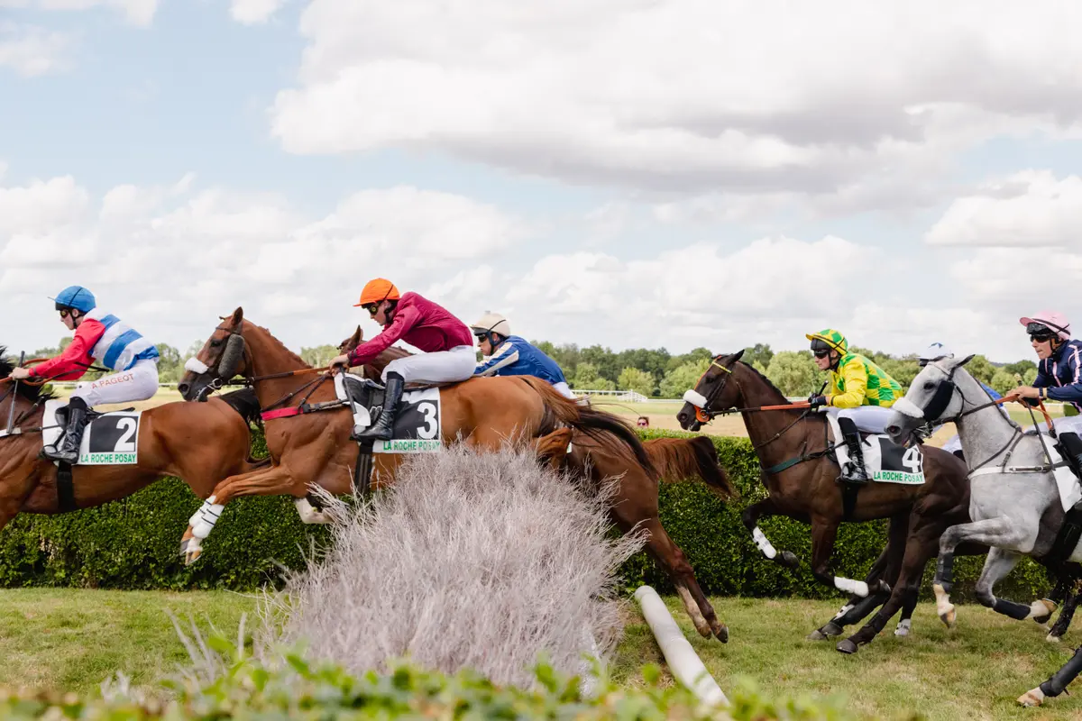 Courses Hippiques Plat/Obstacle