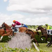 Courses Hippiques Plat/Obstacle