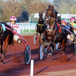 Courses hippiques - réunion de Trot