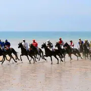 Courses hippiques sur l'hippodrome marin