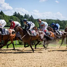 Courses hippiques : tous en blanc