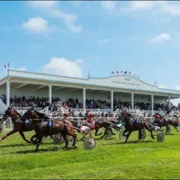 Courses hippiques : trot attelé