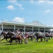 Courses hippiques : trot attelé
