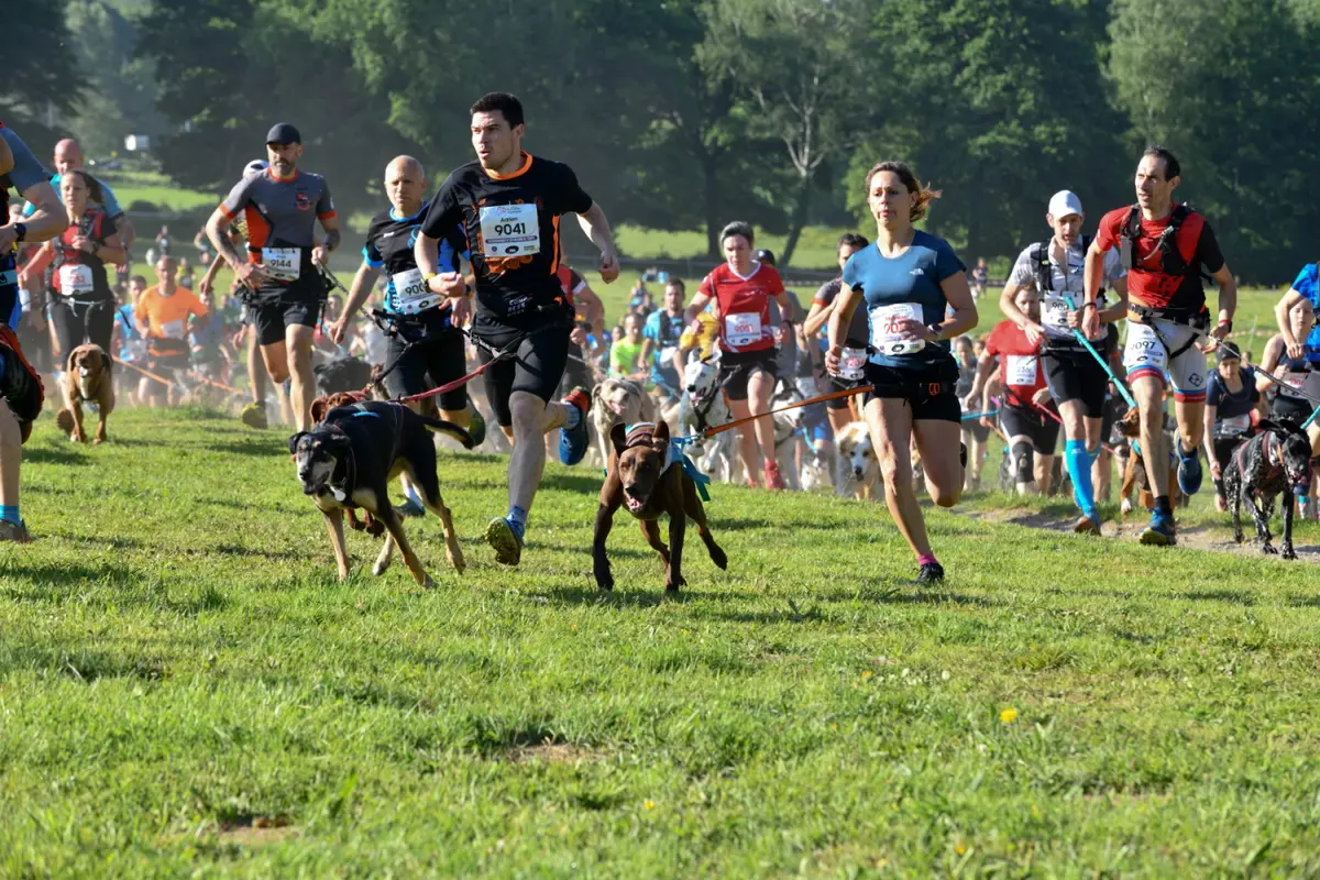 Courses - Les Gendarmes et les Voleurs de Temps