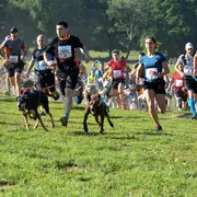 Courses - Les Gendarmes et les Voleurs de Temps