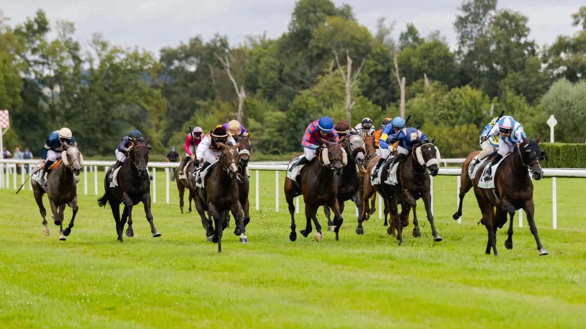 Courses Trot/Obstacle