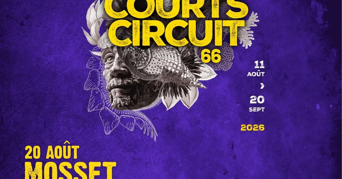 Courts Circuits 66