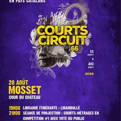 Courts Circuits 66