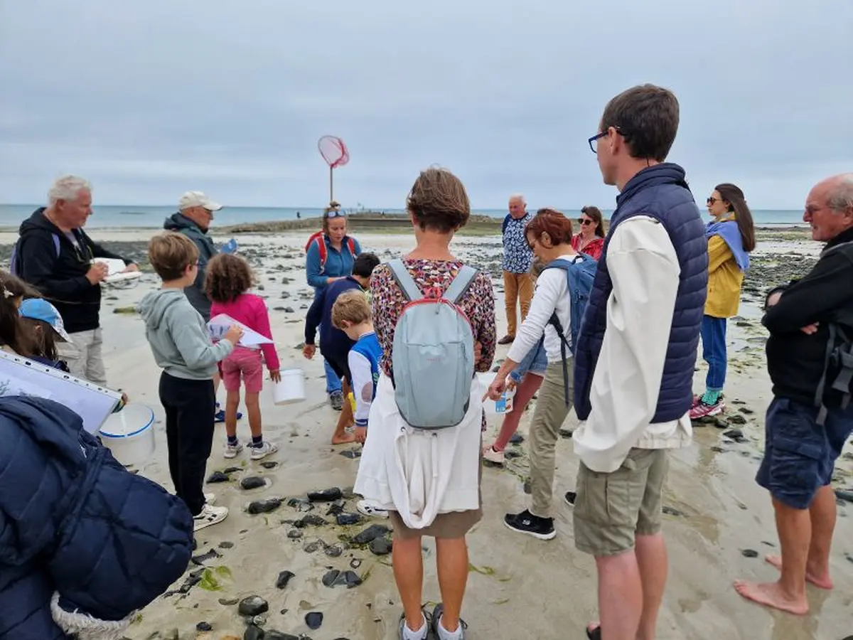 Crabes, bigorneaux et compagnie