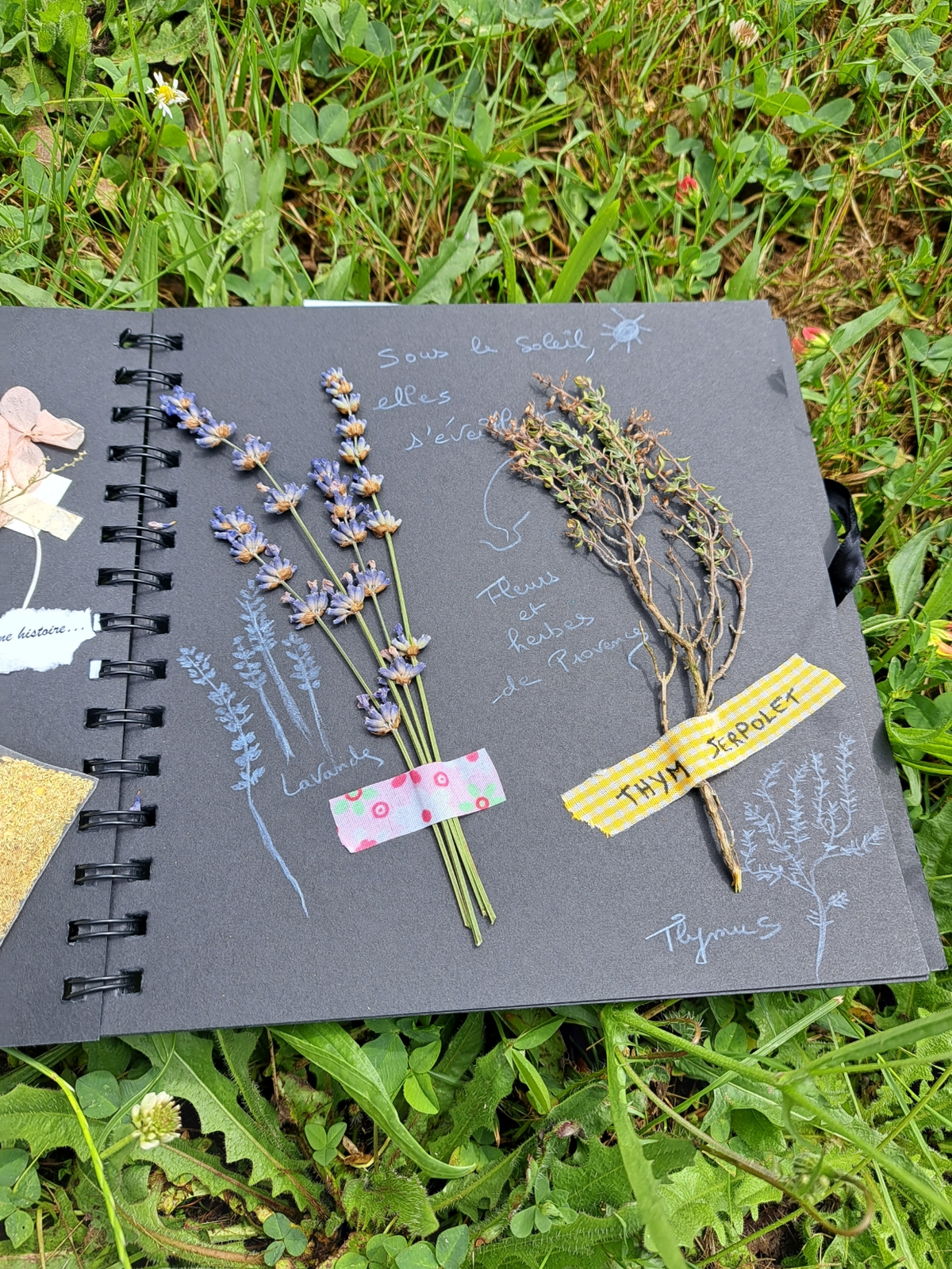 Création d'un carnet nature