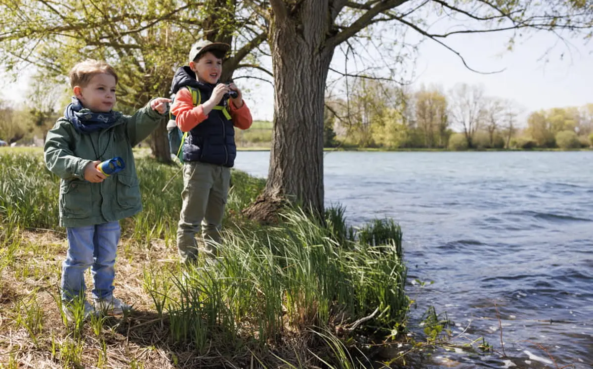 Création d'un gîte à chauve-souris