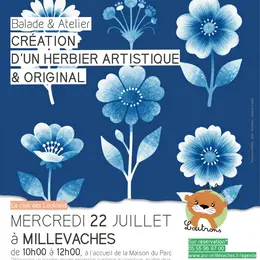 Création d'un herbier artistique et original