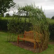 Création D'Une Cabane En Osier Vivant