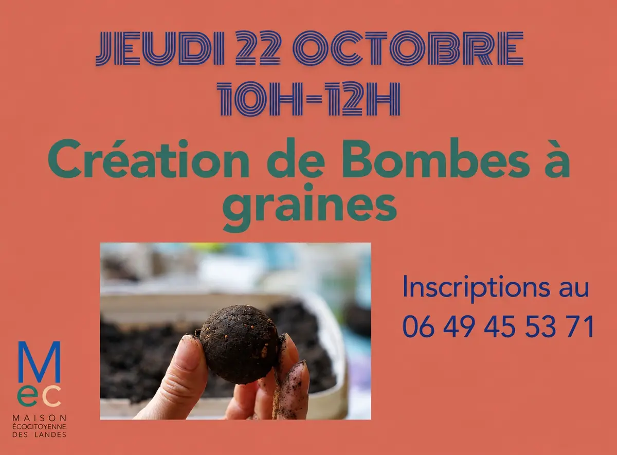 Création de bombes à graines