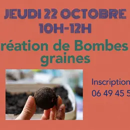 Création de bombes à graines
