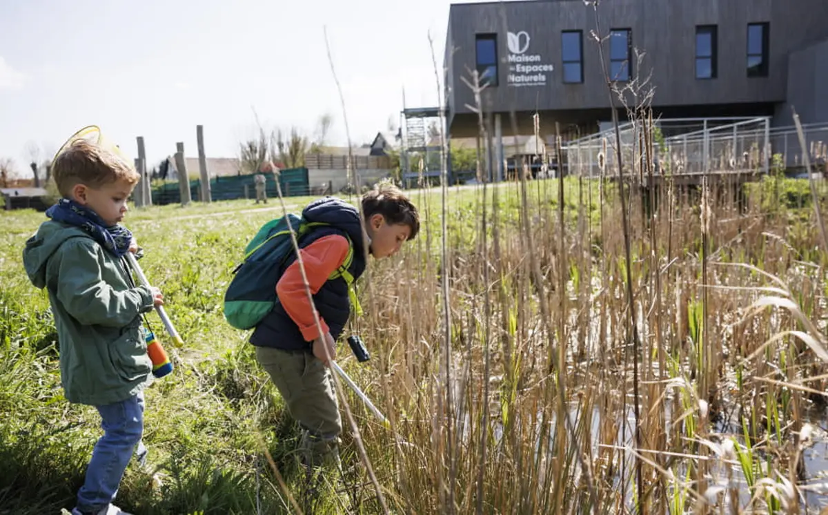 Créations sauvages, bricoler au fil de l'eau