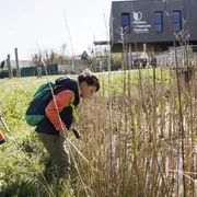 Créations sauvages, bricoler au fil de l'eau