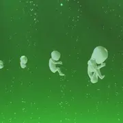 Créatures de substitution