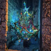 Crèche Et Sapin De L'église De La Piguière