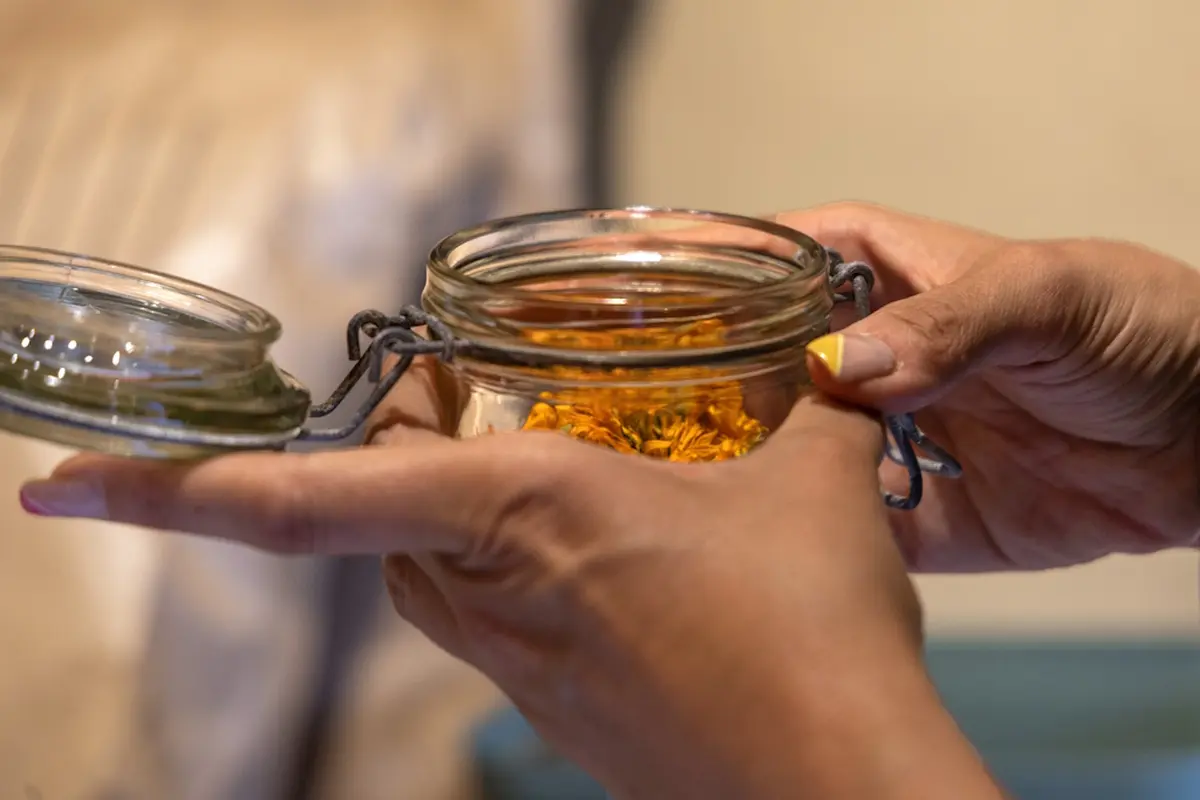 Créez votre infusion en juillet à St-Laurent-les-Eglises