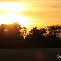 Crépuscule en Retz