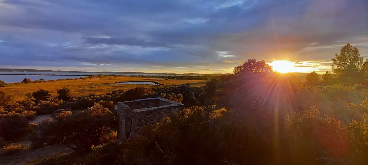 Crépuscule sur la Petite Camargue