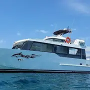 Croisière à la rencontre des dauphins et cétacés à Monaco (98)