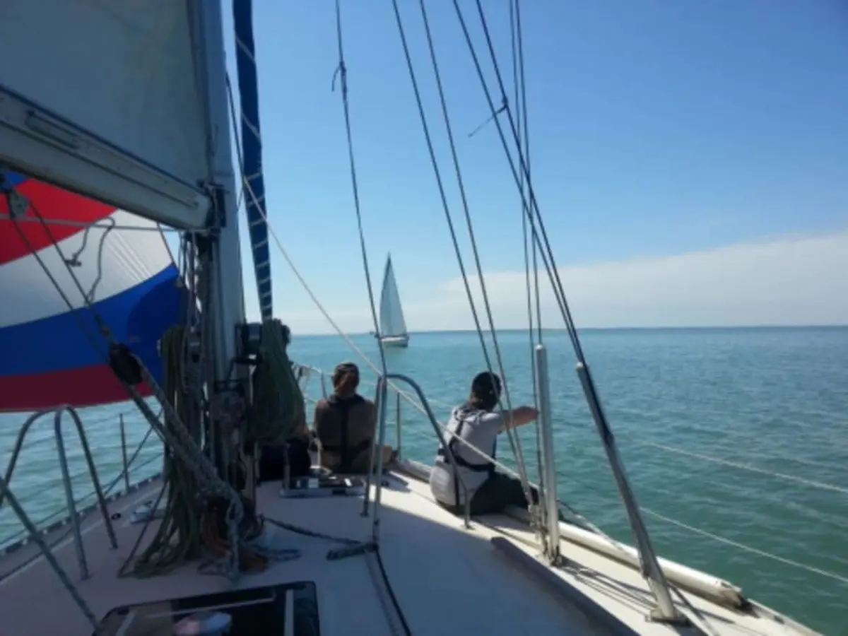 Croisière d'une journée à La Rochelle (17)