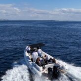 Croisi&egrave;re dans la baie de Lannion &agrave; Tr&eacute;beurden (22)