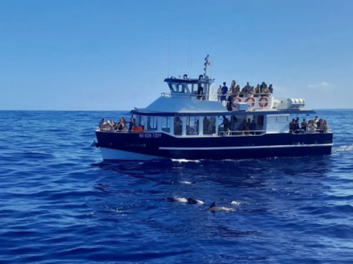 Croisière découverte des côtes à Saint-Gilles-les-Bains